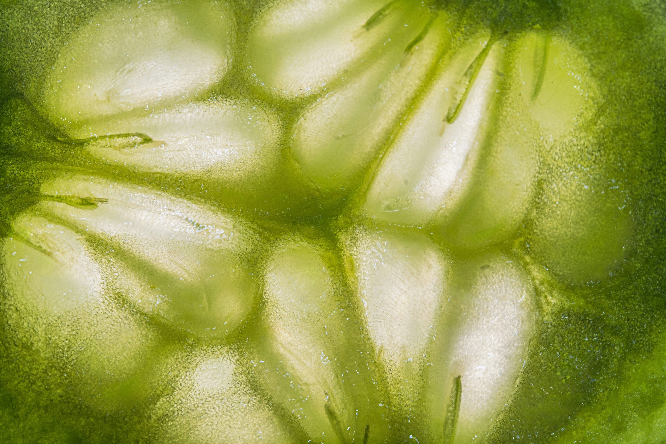 Kann man Zucchini roh essen? Expertenrat für gesunde Rezepte mit Zucchini