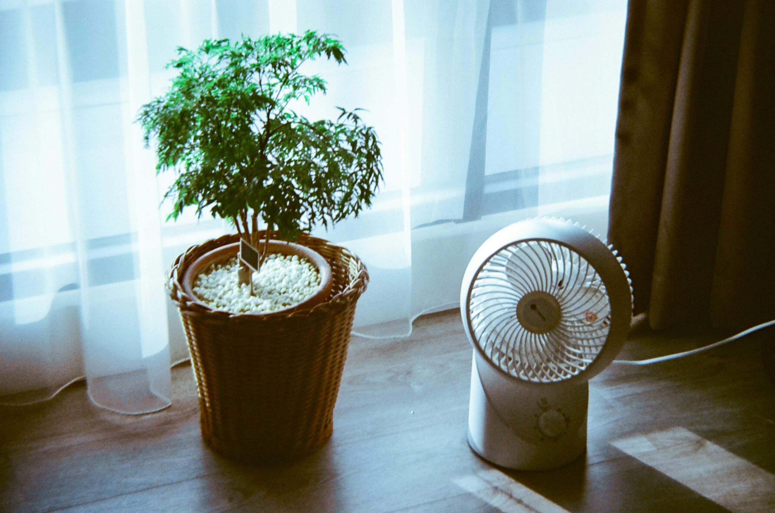 Heizkörper entlüften im Herbst: So sichern Sie Wärme und sparen sofort Energie