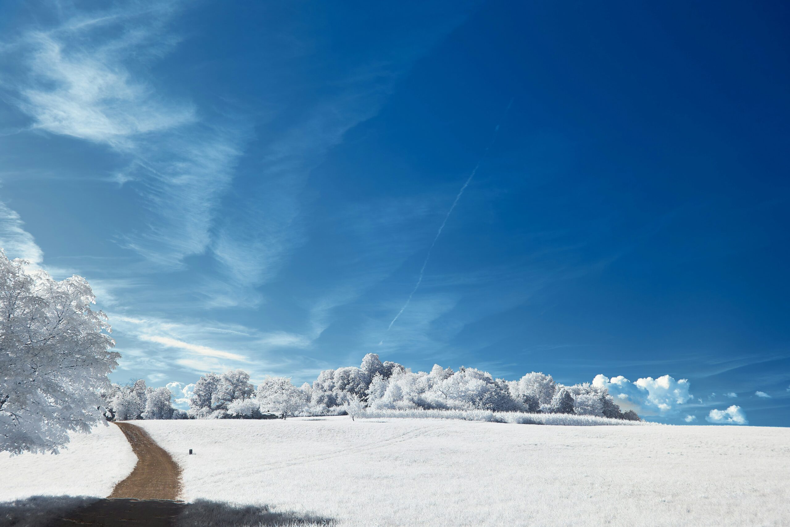 So sparen Sie im Herbst beim Kauf von herren winterjacke und steigern Ihr Budget